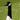Canadian Gooseneck™ Premium Taper Filling Adapter (Free-Range Model)